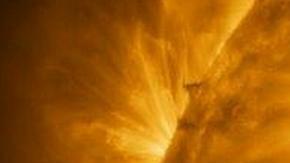 Sol