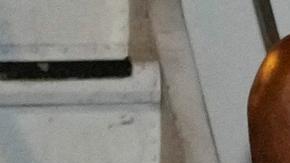 Secretaría de Comercio de EE.UU. inicia visita a China