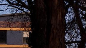 Incendio en edificio deja al menos 73 muertos en Sudáfrica