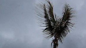 México en alerta por el huracán Hilary que se intensificó a categoría 2 en el océano Pacífico