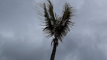 México en alerta por el huracán Hilary que se intensificó a categoría 2 en el océano Pacífico