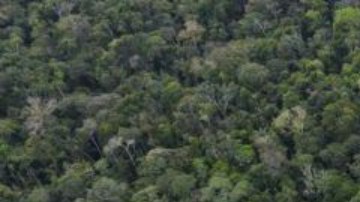 El complejo de Yasuní ITT está ubicado en medio de la selva amazónica ecuatoriana.