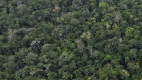 El complejo de Yasuní ITT está ubicado en medio de la selva amazónica ecuatoriana.