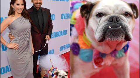 Alessandra Rosaldo, Eugenio Derbez y Fiona en el estreno de"Overboard" en 2018.