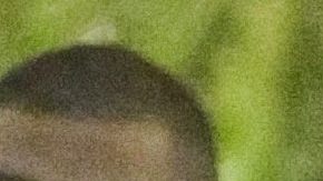 Bad Bunny y Kendall Jenner llegando al concierto de Drake en Los Ángeles.