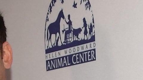 Britney Spears en un evento en Los Ángeles.