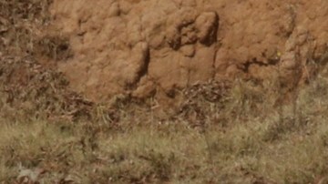 Autoridades en México confirman muerte de empresario Iñigo Arenas, quien era buscado tras salir de antro