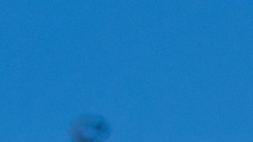 Canelo Álvarez y Jermell Charlo