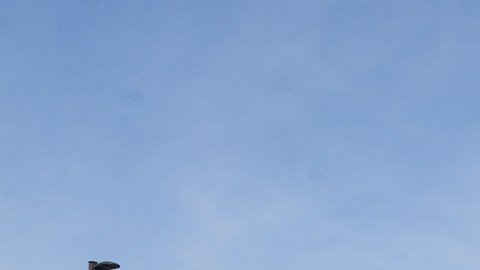 El grupo Run Montebello Run nació en noviembre de 2020 durante la pandemia. (Cortesía Ernie Peralta)