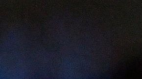 Jorge Masvidal y Alexa Grasso.