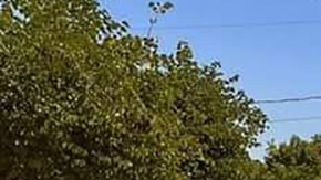 Violencia en Sinaloa