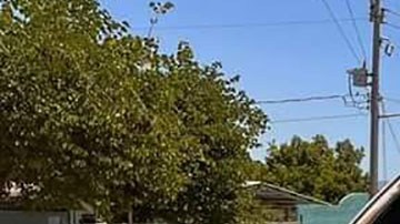 Violencia en Sinaloa