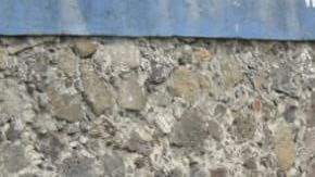 Fiscal de Morelos detenido