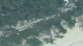 Guardacostas rescataron a hombre que estuvo varado por 3 días en una isla deshabitada de Bahamas