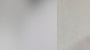 Carlos Julio Ramírez Ortega