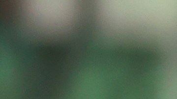 Floyd Mayweather Jr. en el juego del Inter Miami.