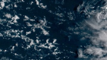 Tormenta Tropical Idalia enfila hacia Florida y estiman que se convertirá en huracán en los próximos días