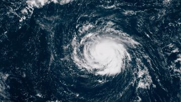 Tormenta Tropical Idalia enfila hacia Florida y estiman que se convertirá en huracán en los próximos días