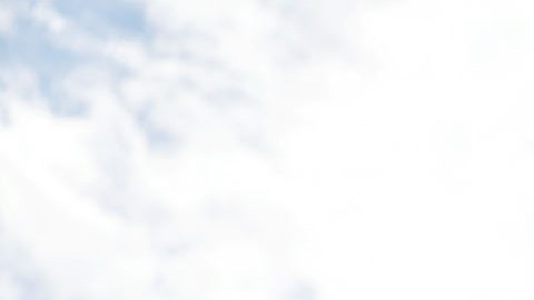 Niña de 12 años murió después de que se dispararan contra su casa en Florida