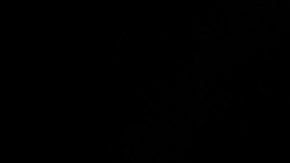 Trump vuelve a Twitter, asegura que fue arrestado a pesar de no haber cometido ningún crimen