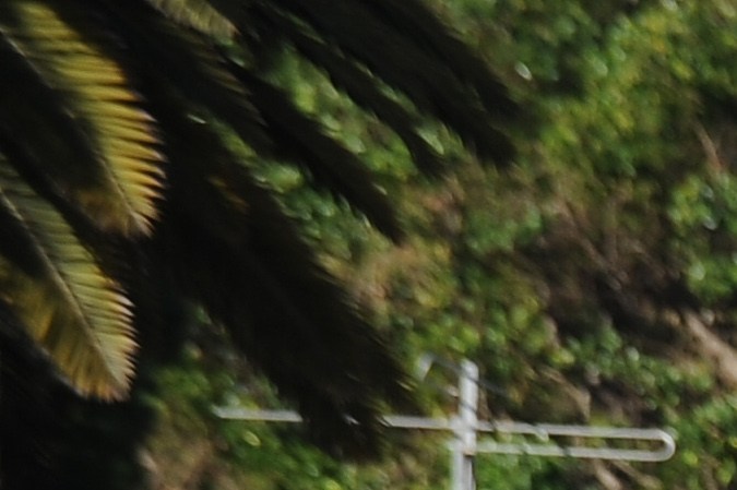 People gather at the entrance to Gardena High School in Gardena, California January 18, 2011 after two students were shot, one in the head, when a gun went off accidentally in a classroom. A student suspect was detained after police reinforcements were rushed to the high school south of central Los Angeles, where the campus was locked down after the mid-morning incident. AFP PHOTO / ROBYN BECK (Photo credit should read ROBYN BECK/AFP via Getty Images)