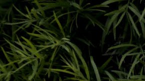 Tirador masivo de la sinagoga de Pittsburgh es condenado a pena de muerte