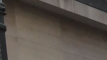 En la lista Fortune 500 de 2023, hay 224 empresas que fueron fundadas por inmigrantes o sus hijos.