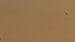 Miembro de la Guardia Nacional de Illinois murió tras sufrir lesiones por calor en base militar de Mississippi