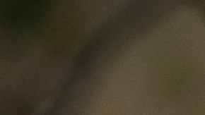 Activistas dejan galones y barriles de agua para los inmigrantes indocumentados cerca de la frontera sur desde hace años.