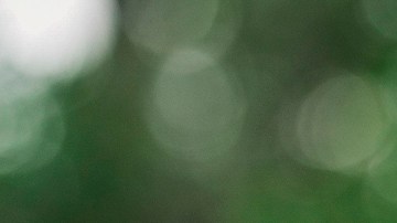 Maluma se despidió de su alter ego musical “Papi Juancho”