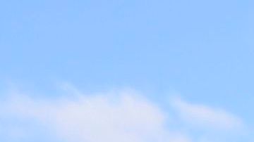 Migrantes venezolanos.