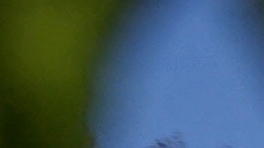 Infante de marina enfrenta tres cargos de delitos sexuales en caso de adolescente de 14 años hallada en California