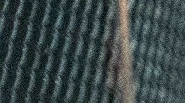 Un monumento improvisado a las víctimas del tiroteo en el Walmart de El Paso, Texas en 2019, uno de los peores crímenes de odio contra latinos.