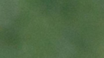 Los líderes de los Proud Boys Enrique Tarrio (i) y Joe Biggs (d) en un mitin en Portland en 2019.