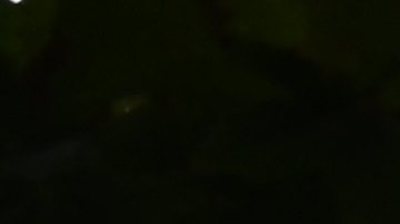 Purdue Pharma, el fabricante de OxyContin, contribuyó a la crisis de los opioides en EE.UU.