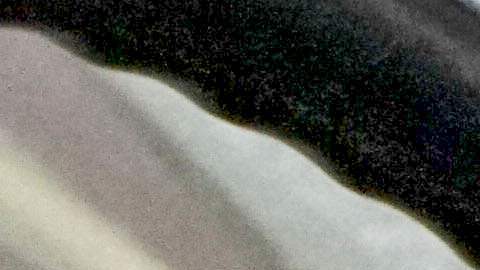 CBP señaló que la mayor cantidad de decomisos de drogas está ocurriendo en los puertos de entrada de Arizona.