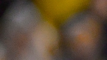 Ricardo La Volpe, experimentado entrenador argentino.