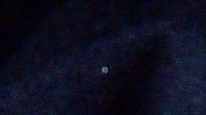 Tres personas murieron en Nueva York y Connecticut tras contraer bacterias carnívoras de mariscos crudos