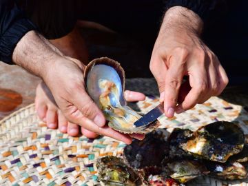 Tres personas murieron en Nueva York y Connecticut tras contraer bacterias carnívoras de mariscos crudos