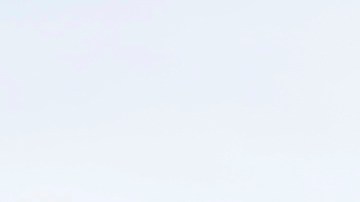 Detienen a conductor que manejaba con un toro enorme en el asiento del pasajero en Nebraska