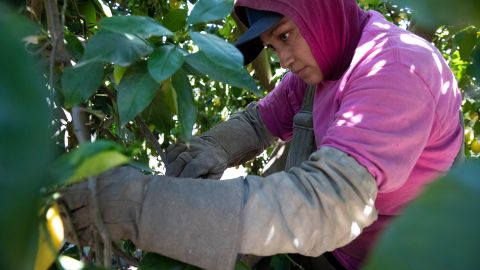 El informe reveló que recibir a 100 inmigrantes en una comunidad rural puede ayudar a sostenerla.