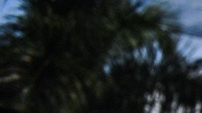 La denuncia contra la Ley SB 1718 fue presentada a nombre de una asociación de granjeros en Florida.