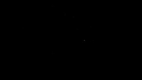 Dojo de Jiu-Jitsu, foto referencial.