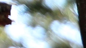 Mujer se ahogó tratando de rescatar a su hijo de una cascada en New Hampshire