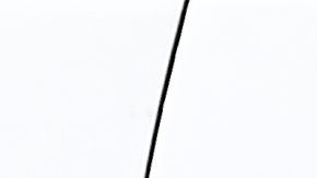 Acusan a soldado estadounidense de asesinar a su esposa en Alaska