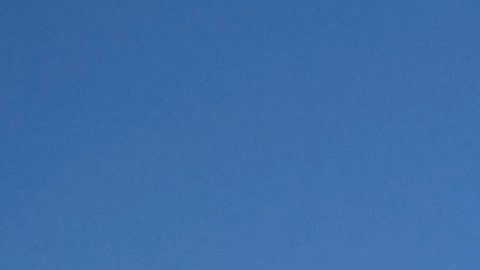 Piden proteger a los indocumentados que envejecen tras aportar durante sus mejores años a California.