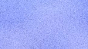 Policía en Ohio mata a tiros a mujer embarazada sospechosa de robar una tienda cuando intentaba huir