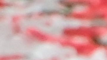 Giuliano Simeone (d) posa junto al "Cholo" y su familia.