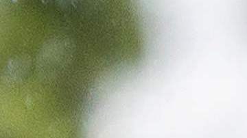 Julio fue el mes más caluroso de la historia, según la NASA