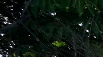 Fuertes lluvias al norte de México ante el paso de la depresión tropical Harold